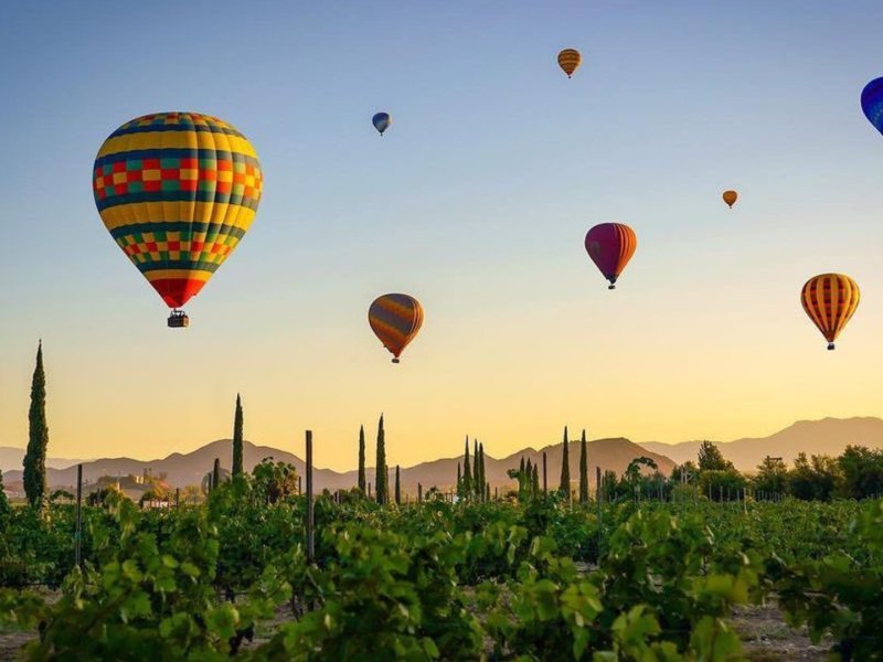 Hot air balloons rising over Temecula Valley vineyards at sunrise, evoking the Temecula Valley Balloon and Wine Festival